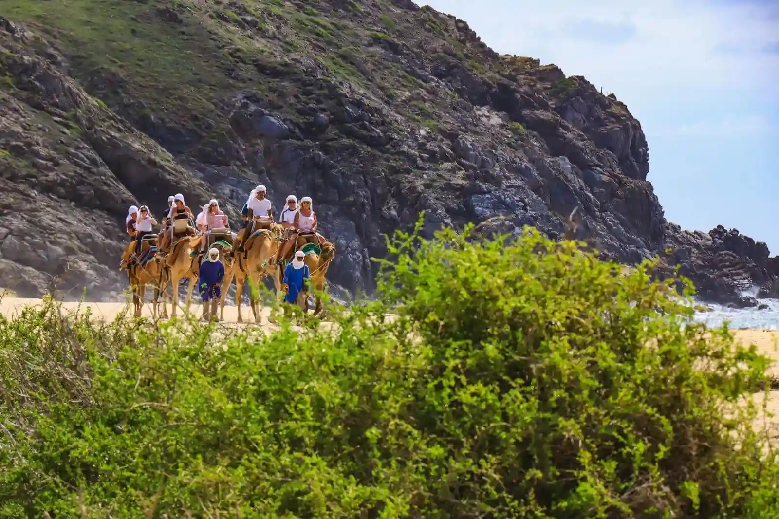 Safari en Camellos 2