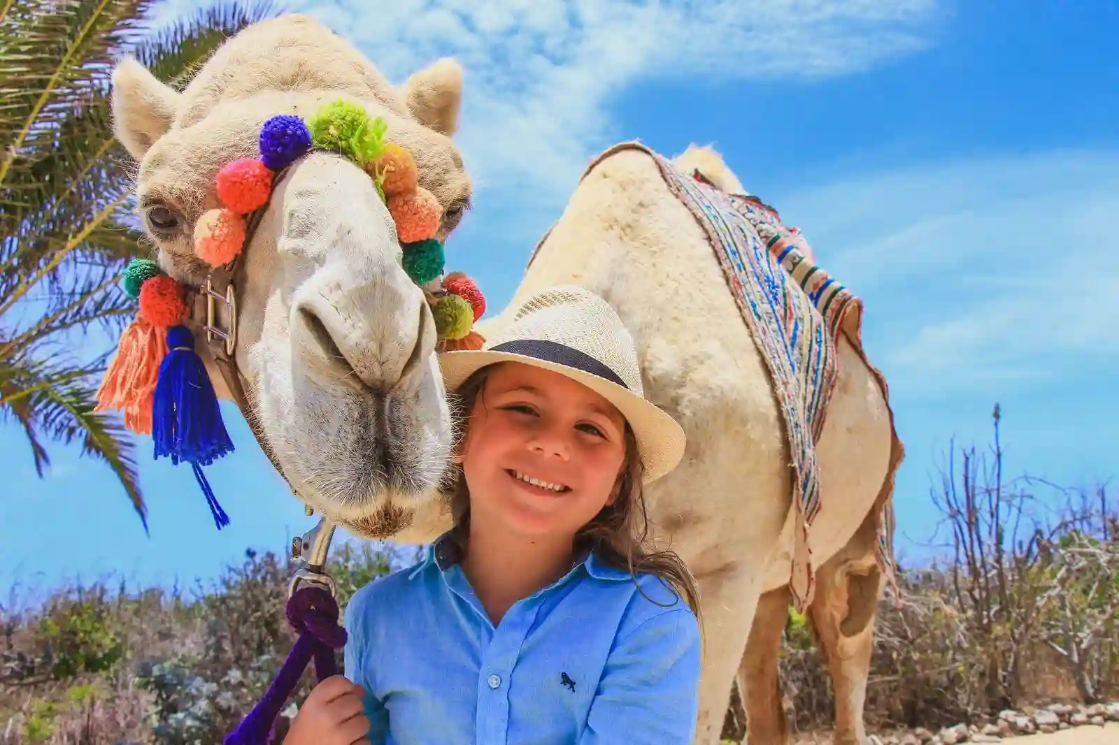 Safari en Camellos 3